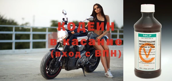 прущие грибы Ельня