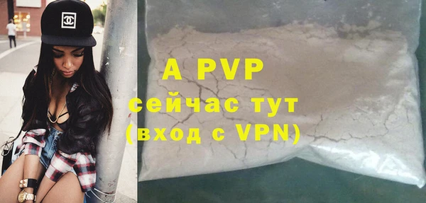 стафф Елабуга