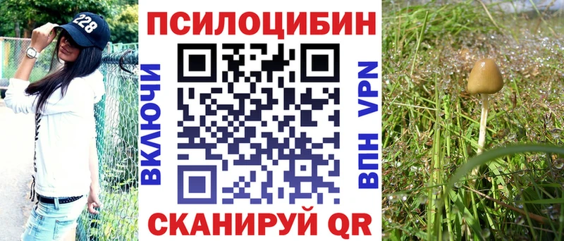 ОМГ ОМГ рабочий сайт  Дальнереченск  Псилоцибиновые грибы Cubensis 